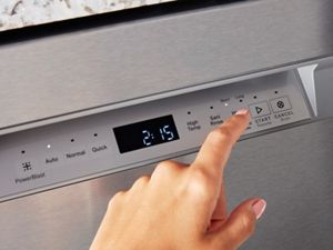 Dog bowl in top dishwasher with other dishes