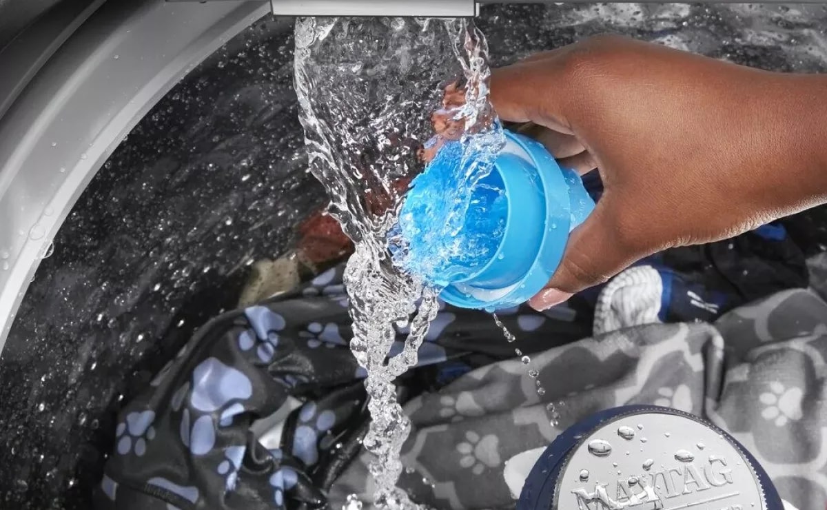 How to Wash Dog Clothes, Vests and More | Maytag