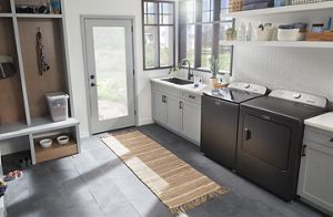 How to Wash Dog Leashes & Harnesses Maytag