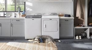 Can you wash dog online toys in the washing machine