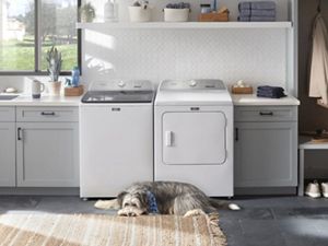 Washing dog toys with baking soda sales