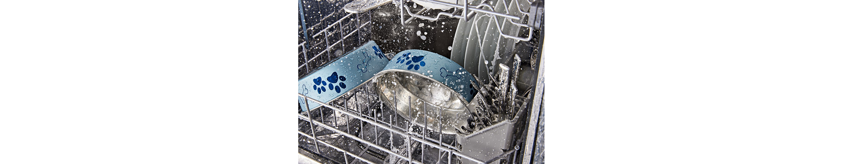 Two blue pet bowls in a dishwasher