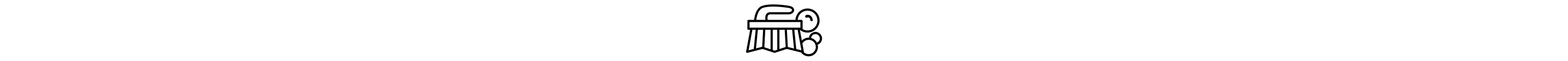 Scrub brush icon