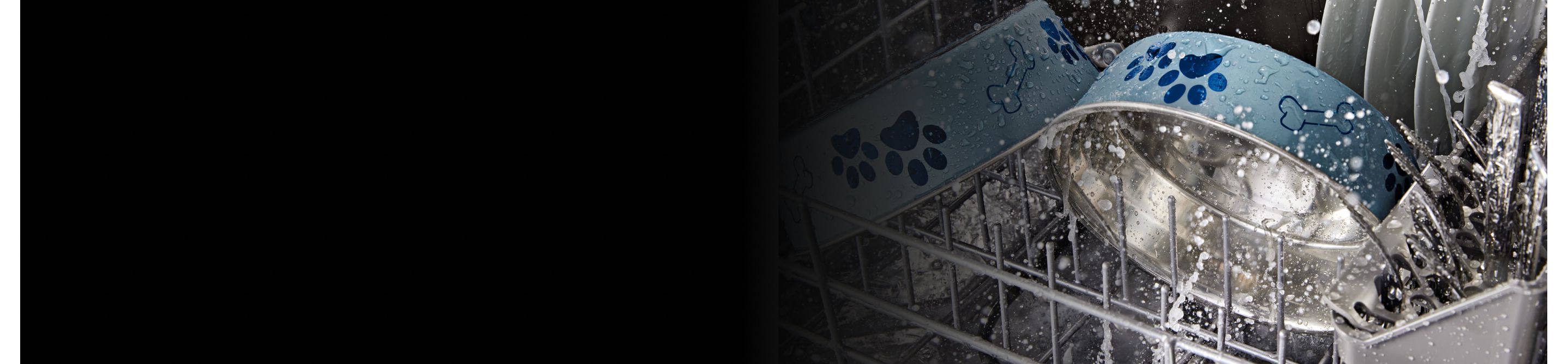 Close-up of a dog food and water bowl washing in the bottom rack of a dishwasher