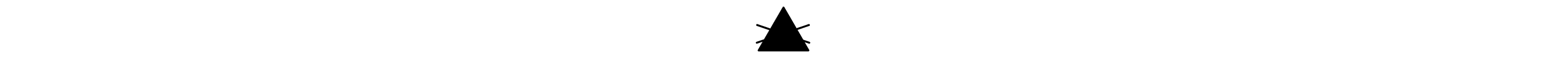 Do not bleach icon