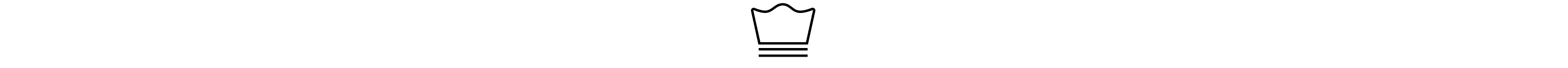 Machine wash: gentle or delicate icon