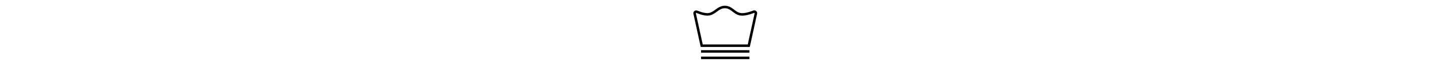 Delicate Wash Cycle Icon