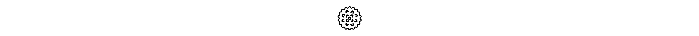 Dryer ball icon