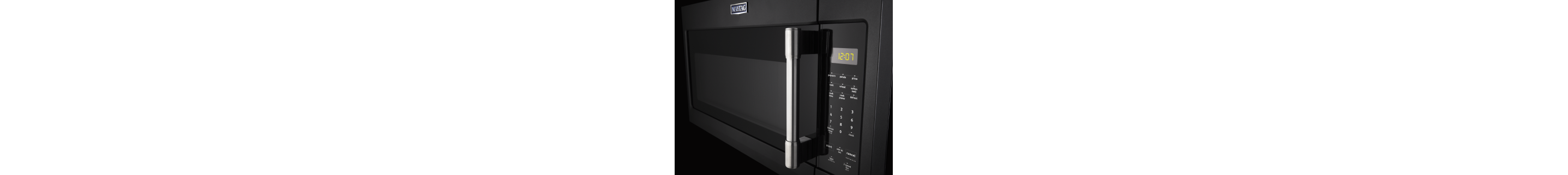 Microwave door