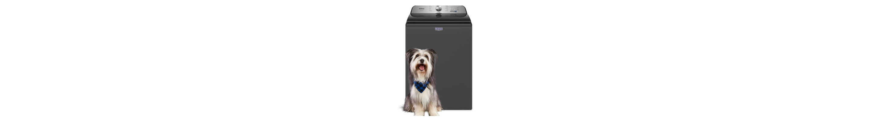 A fluffy grey and white dog sitting in front of a Maytag® Smart Pet Pro Top Load Washer