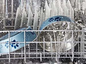 A closeup of the bottom rack of a Maytag® dishwasher rack during a wash cycle