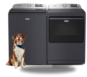 A Maytag® laundry set with a dog in front.