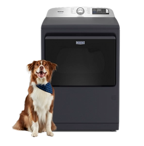 A Maytag® dryer with a dog in front