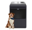 A Maytag® dryer with a dog in front