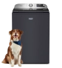 A Maytag® washer with a dog in front