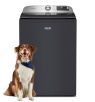 A Maytag® top load washing machine with a dog in front