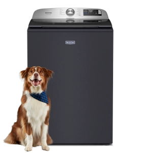 Maytag® top load washer in midnight steel with a dog in front.