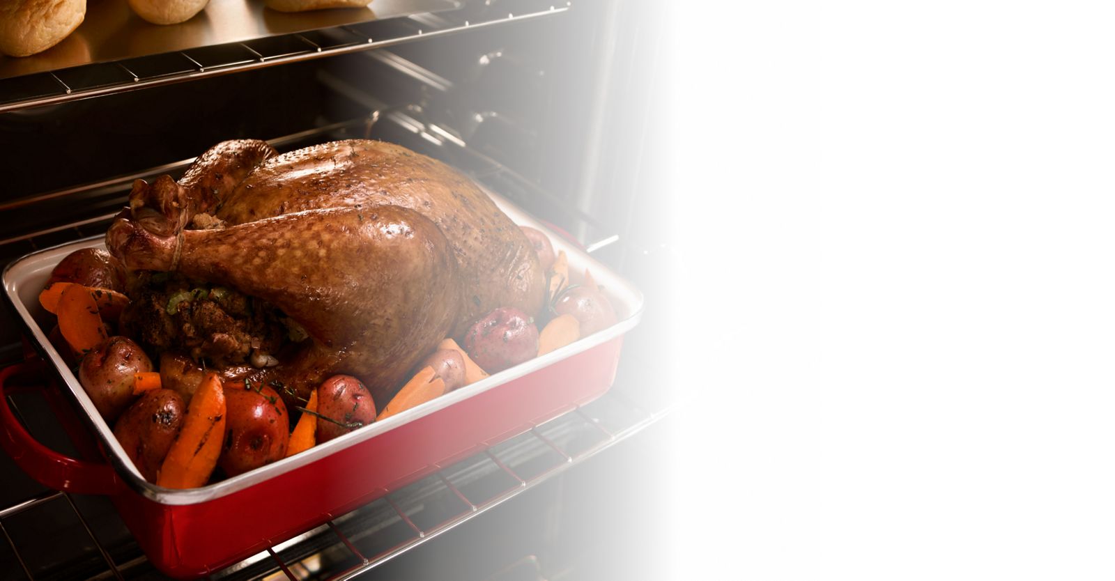 A roasted chicken on an oven rack.