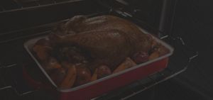 A turkey roasting in the oven.