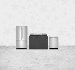 A dog laying in front of the Pet Pro System.