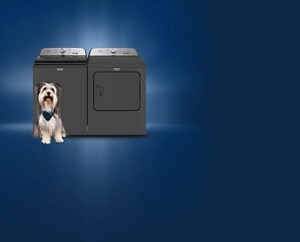 A dog in front of a Maytag® Pet Pro washer and dryer 